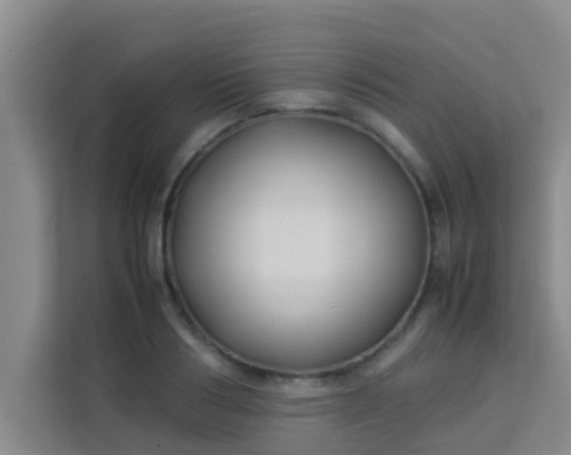 X0000113930986200910091558