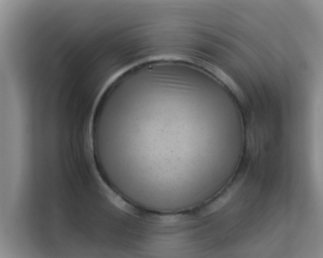 X0000113930988200910091558