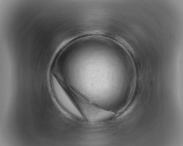 X0000113930989200910091558