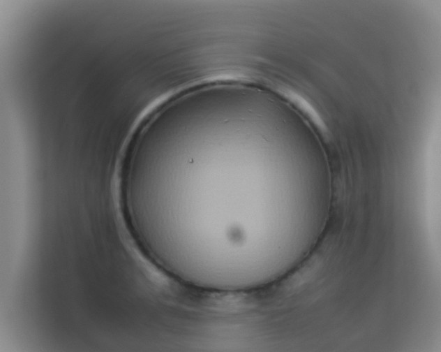 X0000113930991200910091558