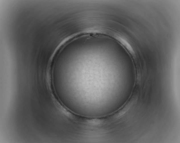 X0000113930992200910091558