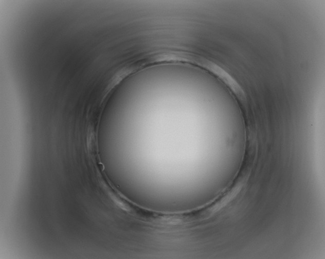 X0000113930993200910091558