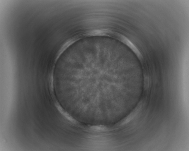 X0000113930994200910091558