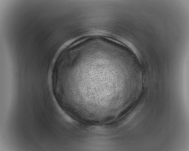 X0000113930995200910091558