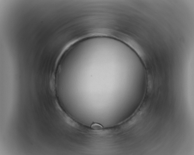 X0000113930996200910091558