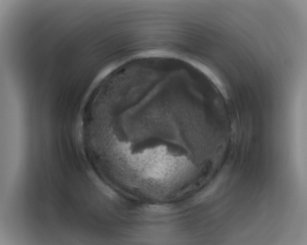 X0000113930998200910091558