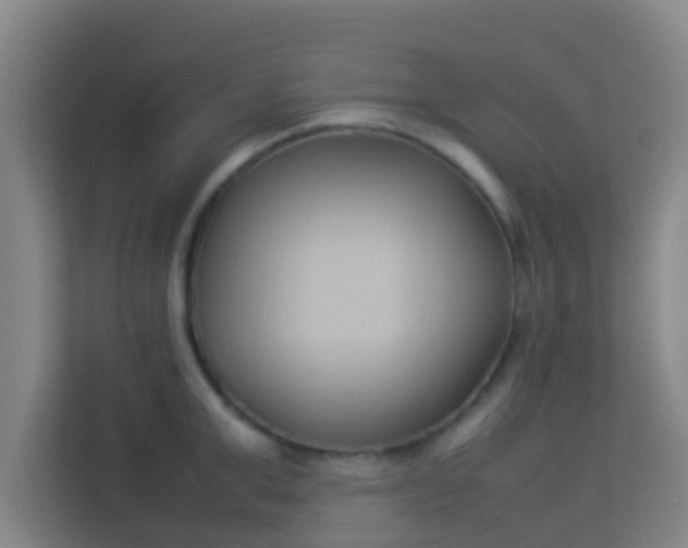 X0000113930999200910091558