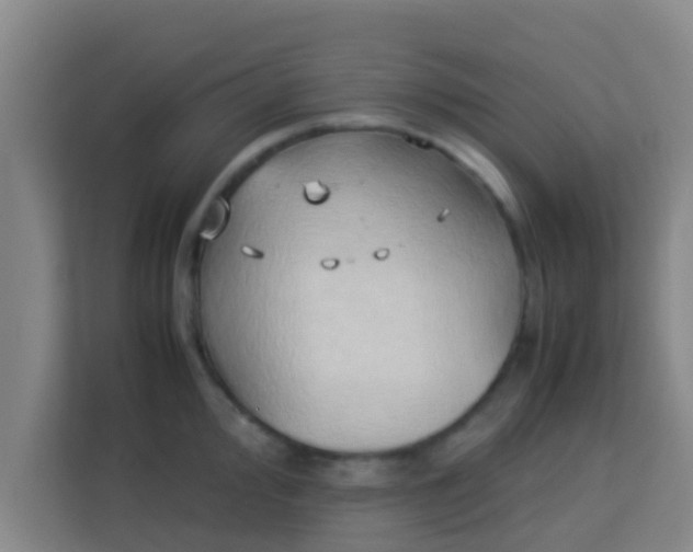 X0000113931000200910091558