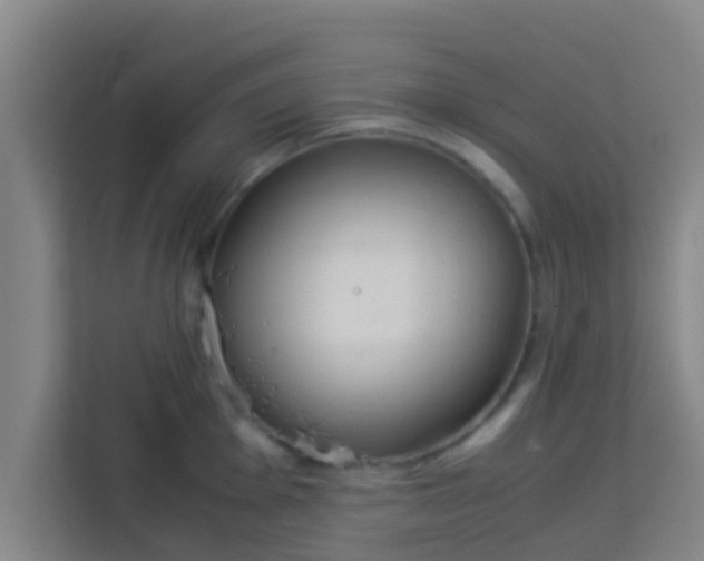 X0000113931001200910091558