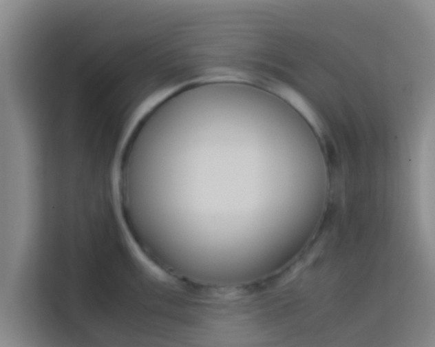 X0000113931003200910091558