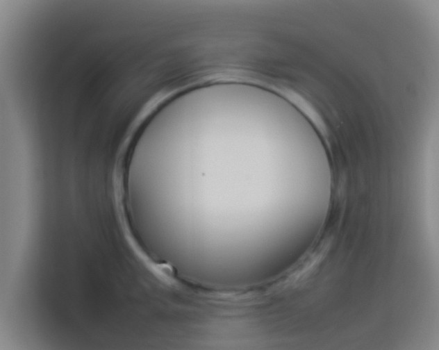 X0000113931005200910091558