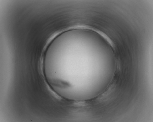 X0000113931006200910091558