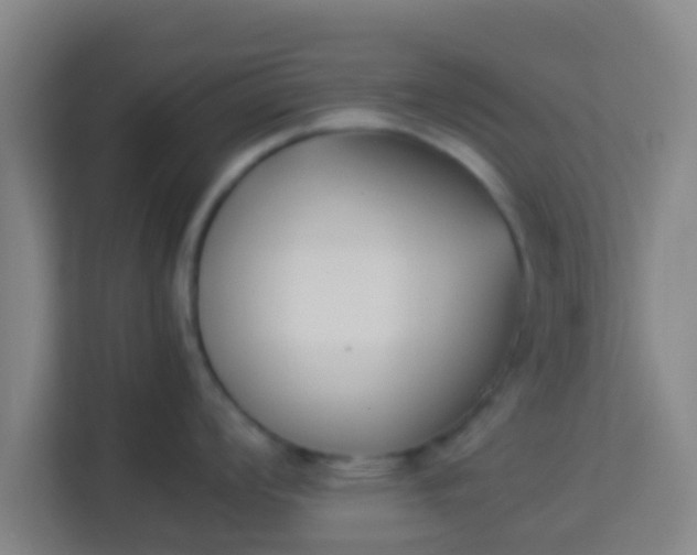 X0000113931008200910091558