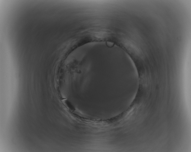 X0000113931009200910091557