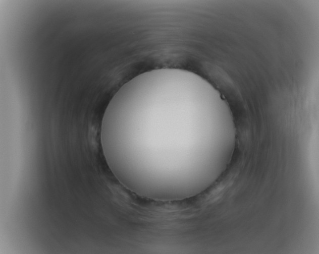 X0000113931010200910091557