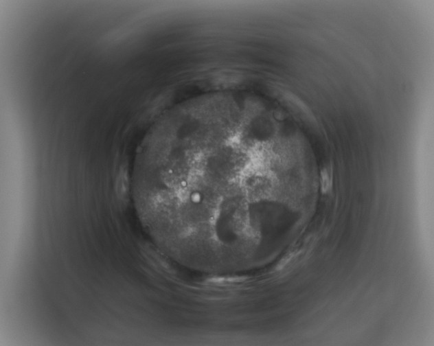 X0000113931011200910091557