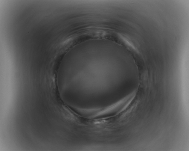 X0000113931013200910091557