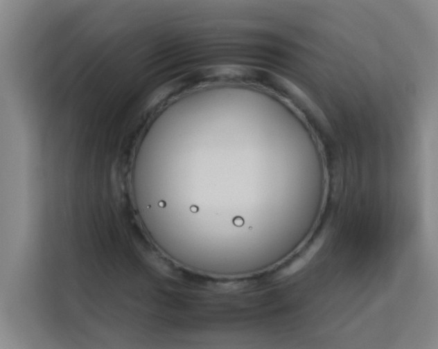 X0000113931017200910091557