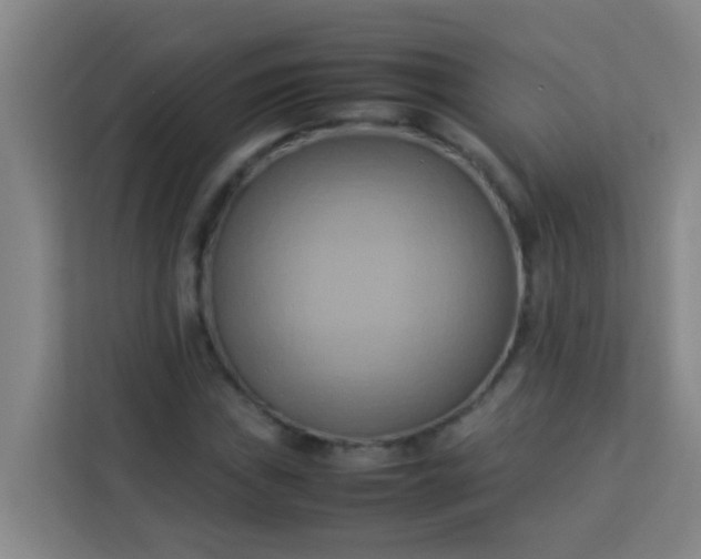 X0000113931019200910091557