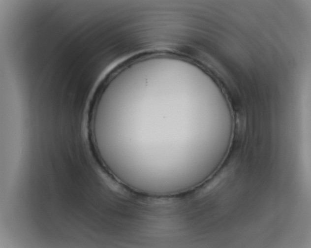 X0000113931020200910091557