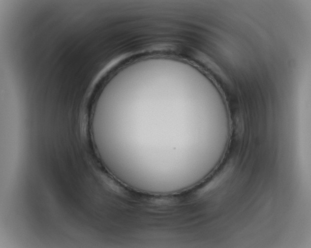 X0000113931021200910091557