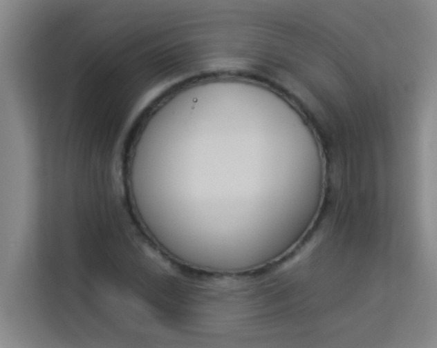 X0000113931022200910091557