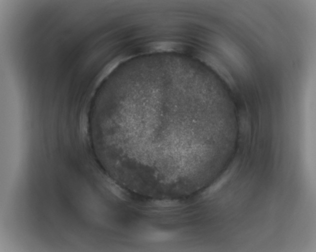 X0000113931023200910091557