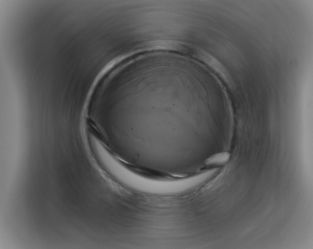 X0000113931024200910091557