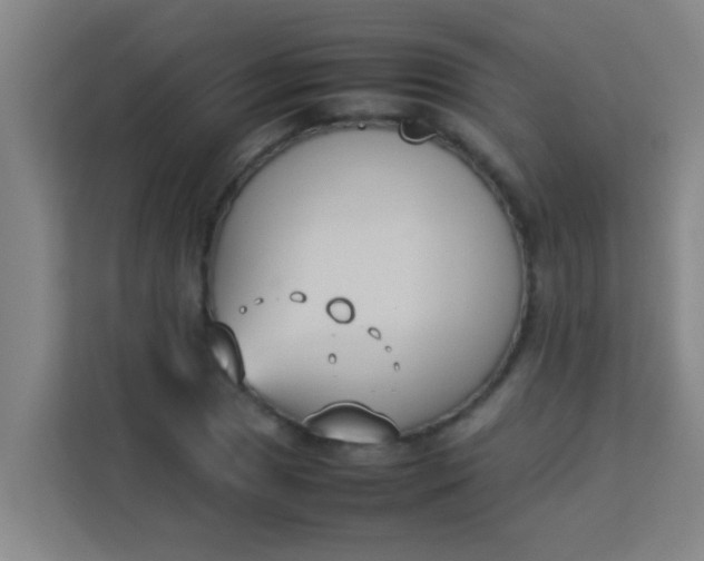 X0000113931025200910091557