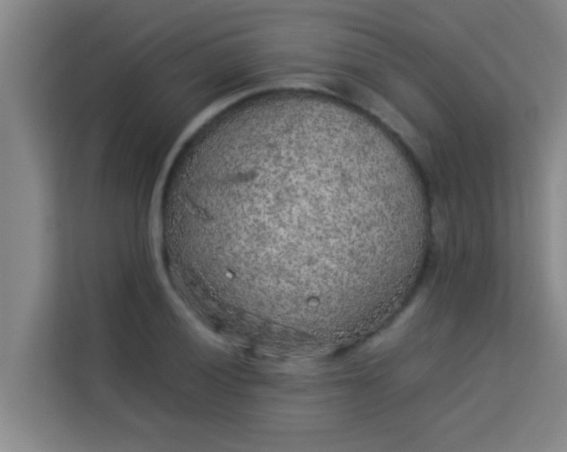 X0000113931028200910091557