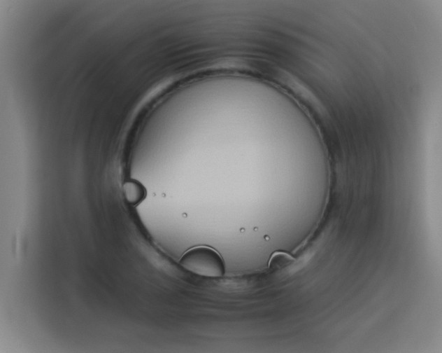 X0000113931029200910091557