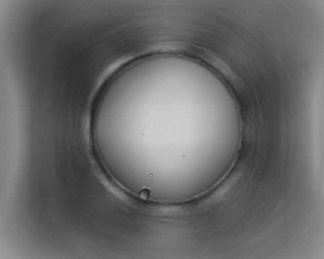 X0000113931030200910091557