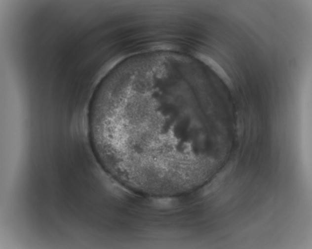 X0000113931031200910091557