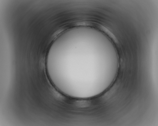 X0000113931033200910091557