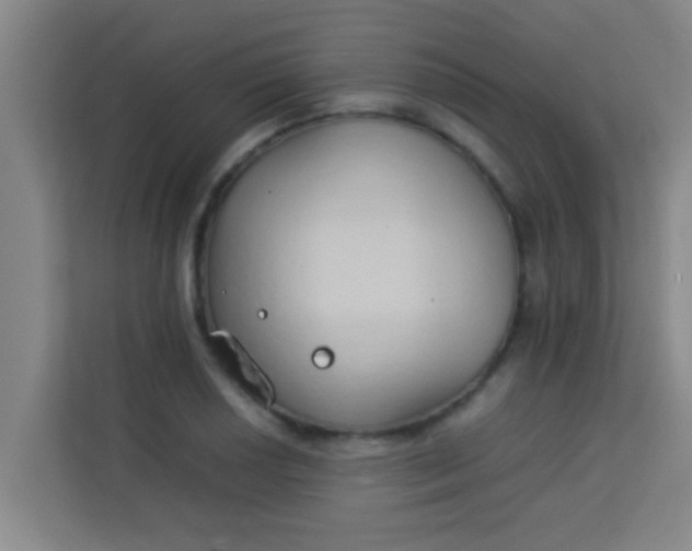 X0000113931034200910091557