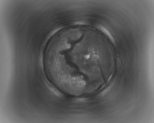 X0000113931035200910091558