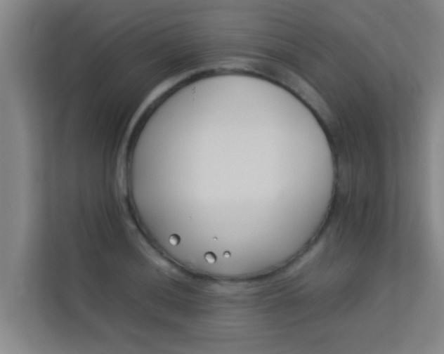 X0000113931036200910091558