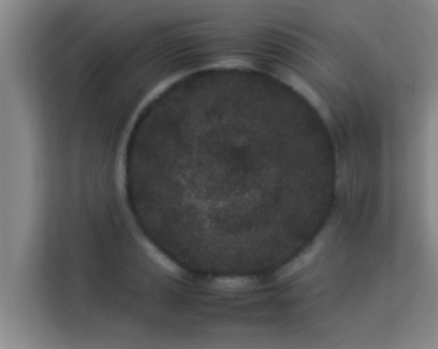 X0000113931037200910091558