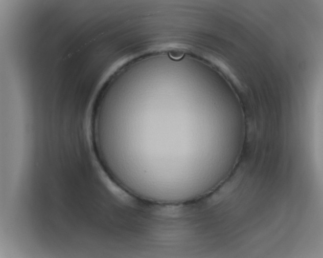 X0000113931038200910091558