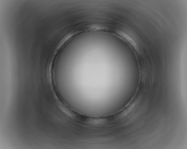 X0000113931039200910091558