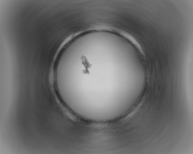 X0000113931040200910091558