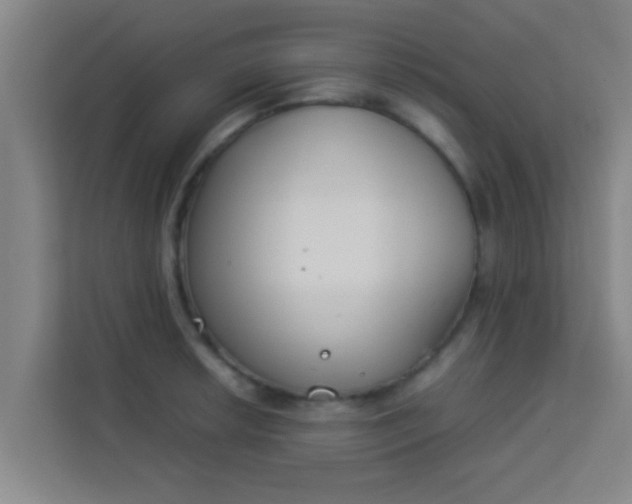 X0000113931042200910091558