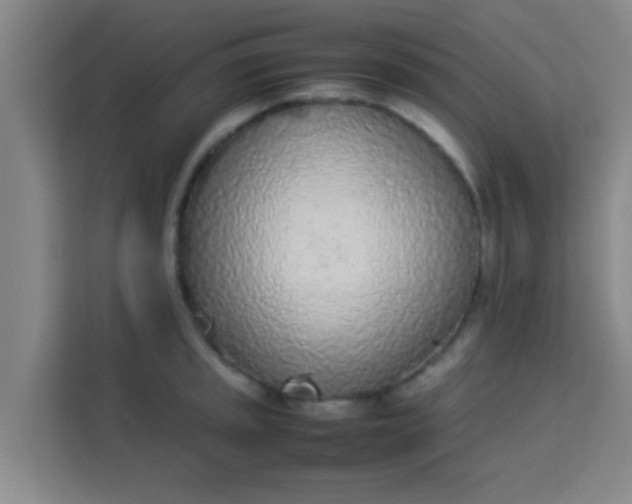 X0000113931045200910091558