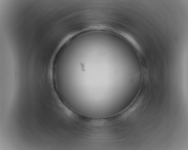 X0000113931046200910091558