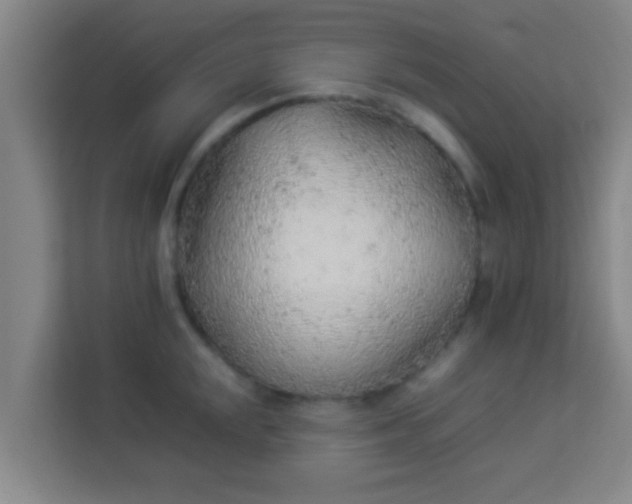 X0000113931048200910091558