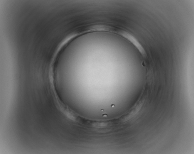 X0000113931051200910091558