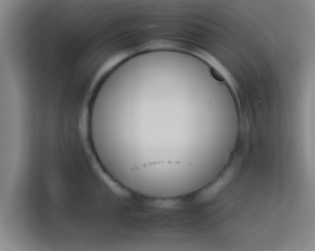 X0000113931053200910091558