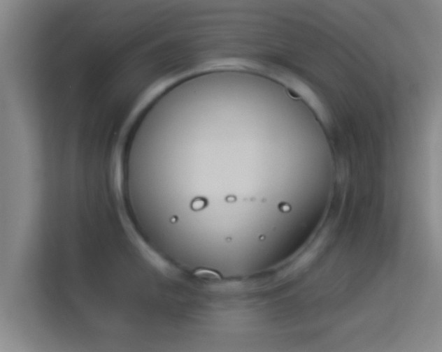 X0000113931054200910091558