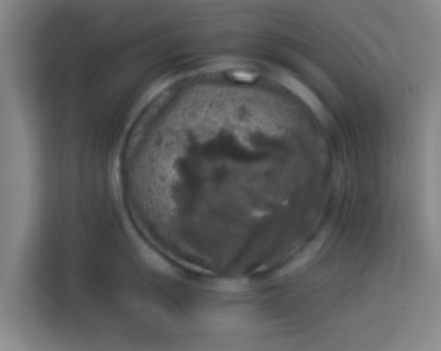 X0000113931055200910091558