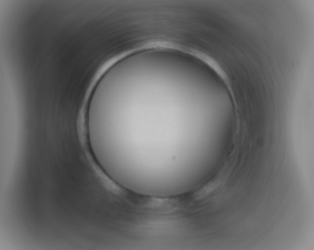 X0000113931056200910091558